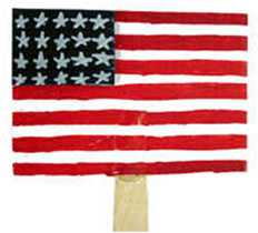 USA Fan Flag
