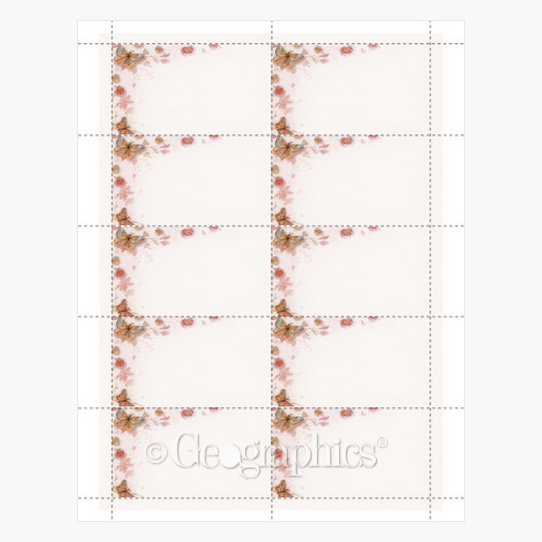 Geographics Business Cards