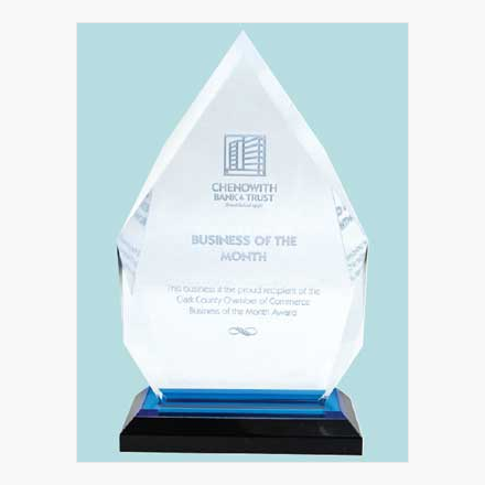 Engraved Acrilyc Awards Geographics